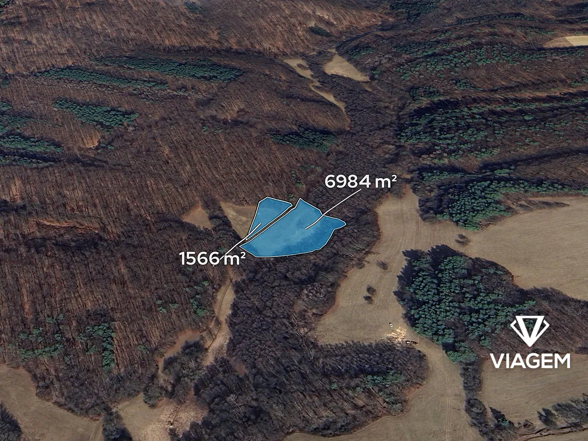 Prodej pole 8550 m²
